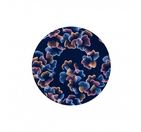 PLATEAU ROND EN BOIS, BLUE...